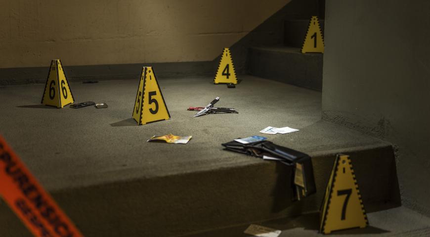 Body of Evidence