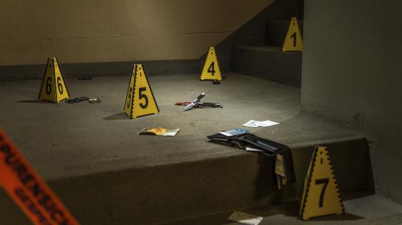 Body of Evidence