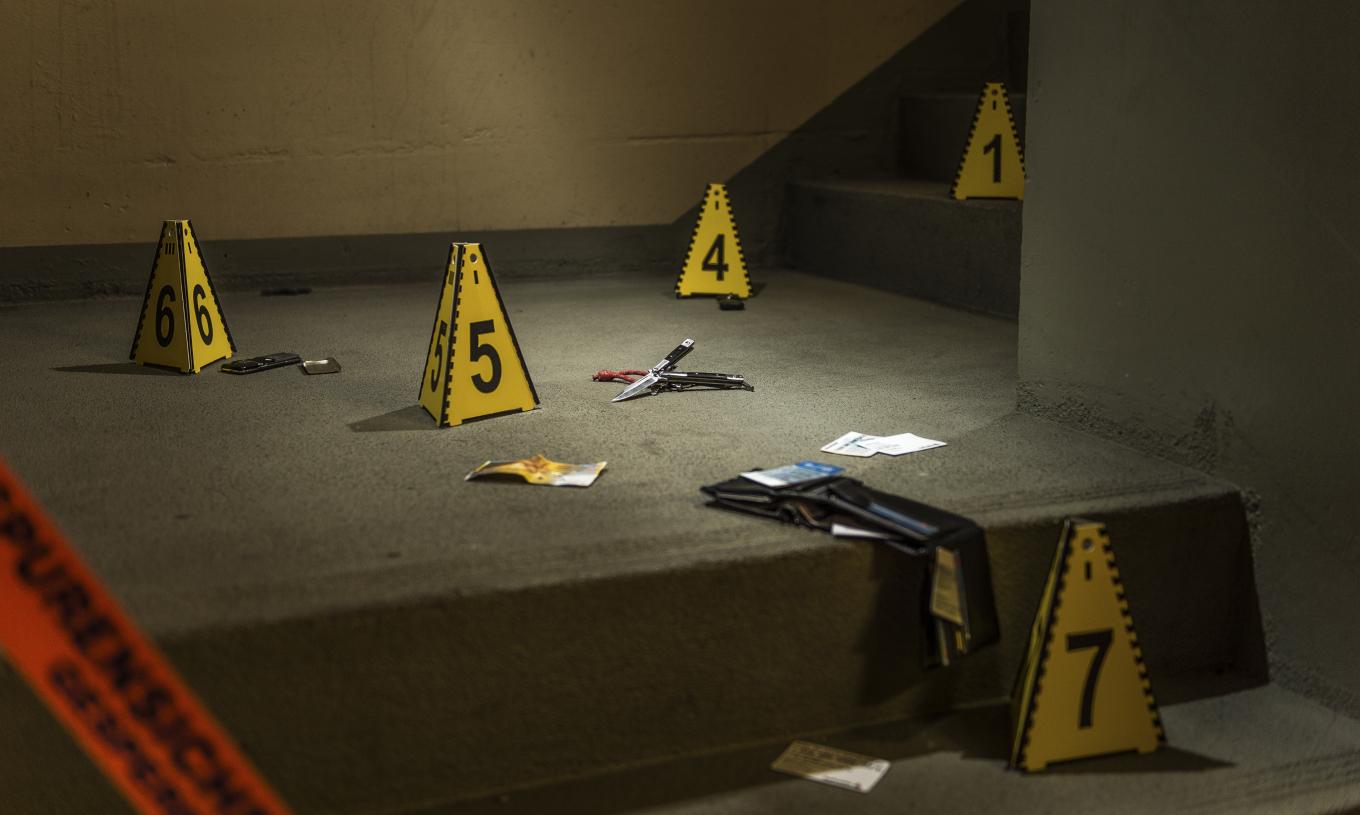 Body of Evidence Justice Network